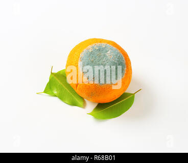 Ein faules orange Stockfoto
