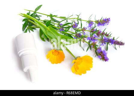 Heilpflanzen Ringelblume und Isop mit Nase sprühen. Auf weiß isoliert. Stockfoto