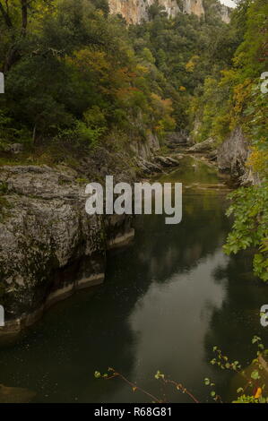 Die Foz de Arbayun Arbayun, Schlucht, vom Fluss Salazar, im Herbst. Navarra, Spanien. Stockfoto