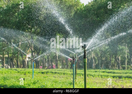 Wasser Springer gesprüht Im Garten mit grünem Hintergrund. Stockfoto