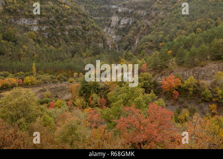 Die Binies Schlucht, Foz de Binies im sirop Tal über Berdun im Herbst. Aragon, Pyrenäen, Spanien. Stockfoto