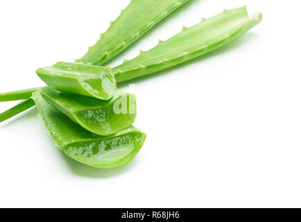 Aloe vera Schichten auf weißem Hintergrund mit Kopie Raum isoliert Stockfoto