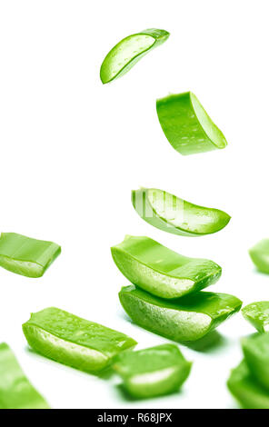 Aloe vera Schichten auf weißem Hintergrund Stockfoto