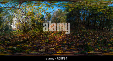 360 Grad Panorama Ansicht von Ballyfad Wald.co.Wexford. Irland. 360 Panorama.