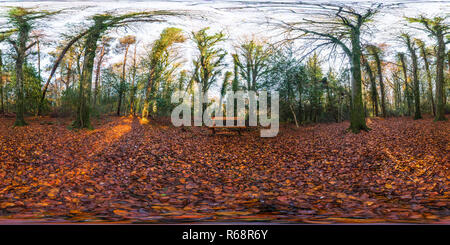 360 Grad Panorama Ansicht von Ballyfad Wald.co.Wexford. Irland. 360 Panorama.