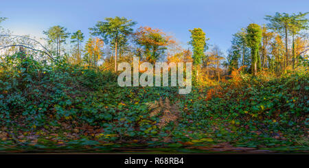 360 Grad Panorama Ansicht von Ballyfad Wald.co.Wexford. Irland. 360 Panorama.