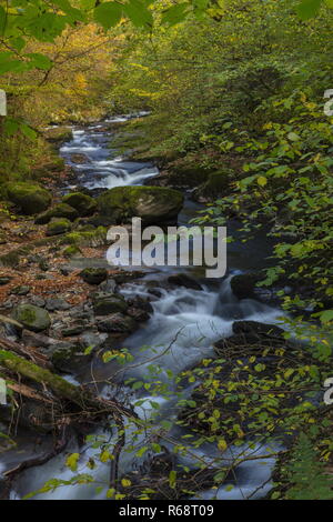 Der Osten Flusses Lyn im Herbst, über Watersmeet, Exmoor, Devon. Stockfoto