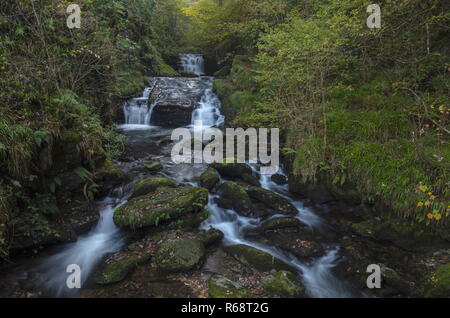 Wasserfall auf dem Hoar Eiche Wasser, (Fluss Lyn) an Watersmeet, in der nähe von Lynton, Exmoor. Stockfoto