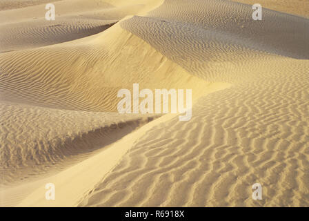 Khuri Wüste, Khuri, Dhoba, Jaisalmer, Rajasthan, Indien, Asien Stockfoto