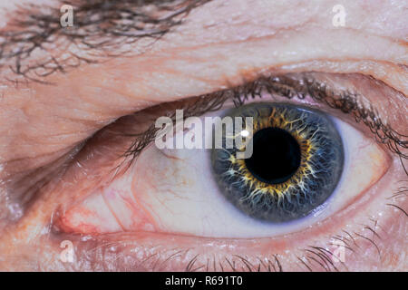 Extreme Nahaufnahme des Auges ist ein älterer Mann mit einem grauen Iris mit einem goldenen Muster Stockfoto