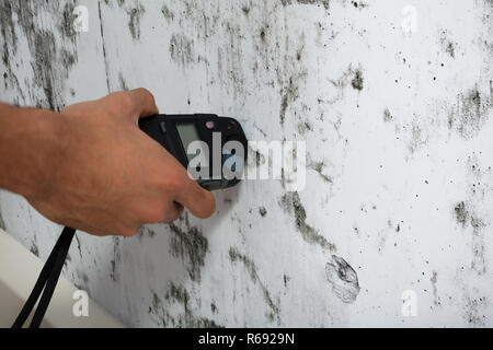 Person messen Nässe von Schimmel an der Wand Stockfoto