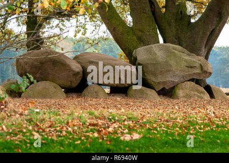 Dolmen in der niederländischen Provinz Drenthe mit einem Hintergrund von Eichen. Ein Dolmen oder in Niederländisch eine Hunebed ist die Bauarbeiten aus der Jungsteinzeit. Stockfoto
