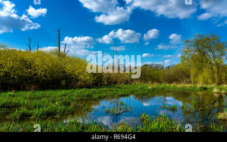 Landschaft finden in Berlin Tegel Stockfoto