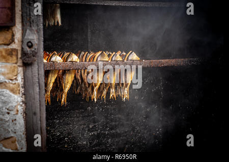 Fisch Verarbeitungsbetrieb. Fische kalt (heiß) geraucht. Geräucherter Fisch In der Räucherei. Schließen Sie das Rauchen Prozess Fisch, der für den Einsatz zu Hause. Vorbereitung der Ökologischen F Stockfoto