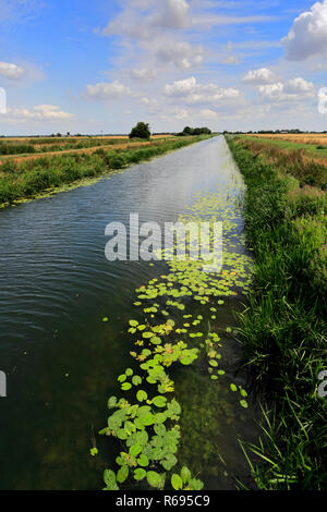 Sommer; Pondersbridge Bevills Leam ablaufen; Dorf; Moorland, Cambridgeshire, England, Großbritannien Stockfoto