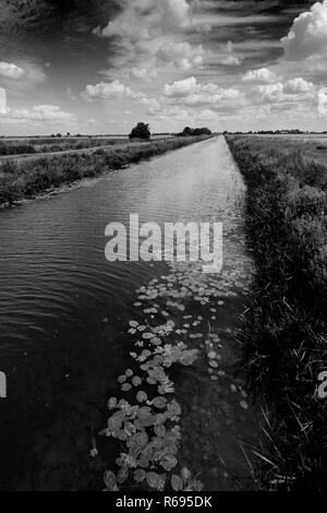 Sommer; Pondersbridge Bevills Leam ablaufen; Dorf; Moorland, Cambridgeshire, England, Großbritannien Stockfoto