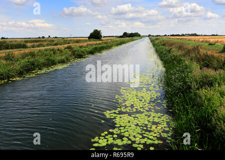 Sommer; Pondersbridge Bevills Leam ablaufen; Dorf; Moorland, Cambridgeshire, England, Großbritannien Stockfoto