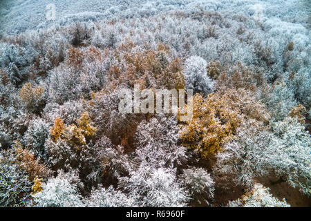 Luftaufnahme von verschneiten Wald im Bereich der Vermio in Nordgriechenland. Von oben mit einer Drohne erfasst. Zwei Jahreszeiten - Herbst und Winter Szene Stockfoto
