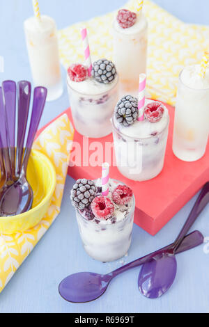 Hausgemachtes Eis Stockfoto