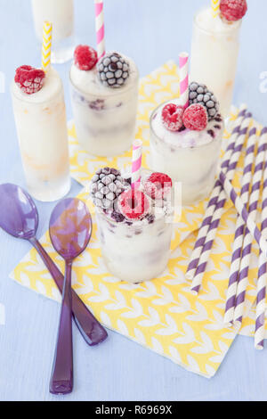 Hausgemachtes Eis Stockfoto