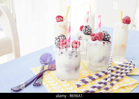 Hausgemachtes Eis Stockfoto