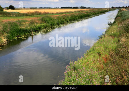 Sommer; Pondersbridge Bevills Leam ablaufen; Dorf; Moorland, Cambridgeshire, England, Großbritannien Stockfoto