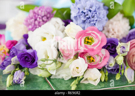 Bunte Frühlingsblumen Stockfoto