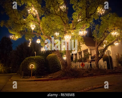 Kronleuchter Baum, Los Angeles, Kalifornien, USA Stockfoto