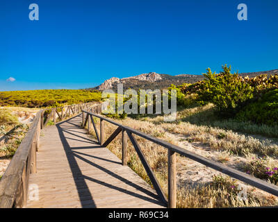 Land Scape in der Nähe der Strand von Bolonia, Tarifa, Provinz Cadiz, Andalusien, Spanien Stockfoto