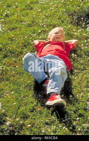 Porträt, Junge, 8 Jahre, Balatonfüred, mit Jeans und rotem T-Shirt mit Wiese mit Gaensebluemchen Stockfoto