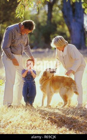 Porträt, Szene, Grosseltern Stachel mit ihrem rothaarigen 3 Jahre alten Enkelsohn und ihrem Hund am Waldrand spazieren Stockfoto