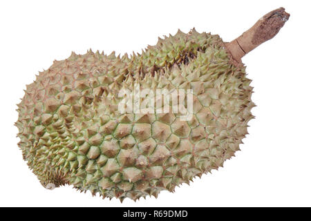 Von reifem Monthong Durian Tempo auf weißem Hintergrund Stockfoto