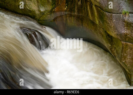 Im Harz Stockfoto