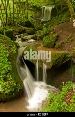 Auf dem Wanderweg Eifelsteig Stockfoto