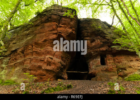 Auf dem Wanderweg Eifelsteig In der Eifel, Deutschland Stockfoto