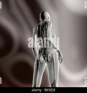 Digitale 3D-Rendering der weiblichen Anatomie des Menschen Stockfoto