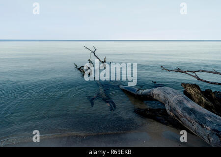 Ostsee Küste in der Nähe von Ahrenshoop in Deutschland Stockfoto