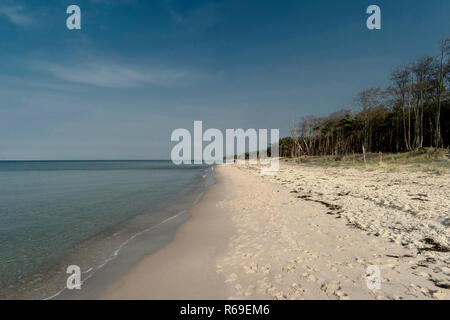 Ostsee Küste in der Nähe von Ahrenshoop in Deutschland Stockfoto