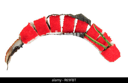 Sushi Rollen mit roten Tobiko Kaviar in der Form eines Drachen. Auf weissem Hintergrund. Kreative Gerichte auf der Speisekarte. Stockfoto