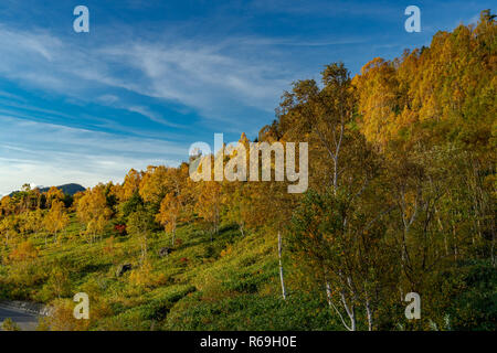 Shiga Kogen im Herbst Stockfoto