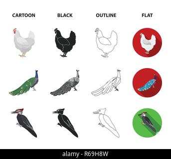 Crow, Strauß, Huhn, Pfau. Vögel stellen Sammlung Icons im Cartoon, schwarz, Outline, flacher Stil vektor Symbol lieferbar Abbildung: Stock Vektor