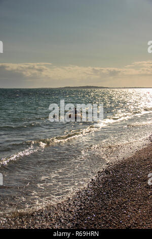 Abend auf Ringstead Bay, einer Person Rudern in einem Schlauchboot, eine zweite Schwimmen in der Nähe von Dorset, England, Großbritannien Stockfoto