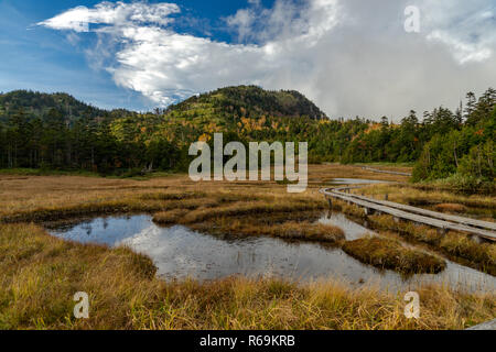 48 Teiche Bereich der Shiga Kogen Highlands Stockfoto