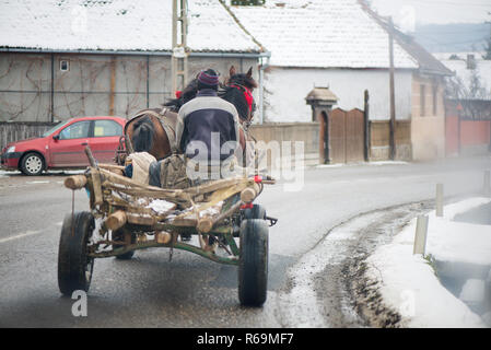 Traditionelle siebenbürger Pferde sind zu Fuß durch die Rumänischen Dorf, Konzept der hart arbeitenden Tiere. Mann sitzt in Holz- Warenkorb durch zwei Hors gezogen Stockfoto