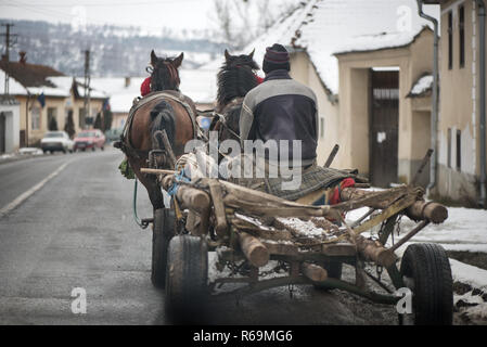 Traditionelle siebenbürger Pferde sind zu Fuß durch die Rumänischen Dorf, Konzept der hart arbeitenden Tiere. Mann sitzt in Holz- Warenkorb durch zwei Hors gezogen Stockfoto