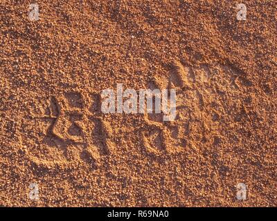 Roter Ton Gericht zertrampelt Muster durch die Tennisspieler und Veteran Footprints. Markierungen auf einer außerhalb der Tennisplatz in Details Stockfoto