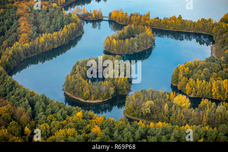 Luftaufnahme, See Heidesee, Inseln mit Herbst Wald, bunte Blätter im Herbst, Grafenwald, Kirchhellen, Bottrop, Ruhrgebiet Stockfoto