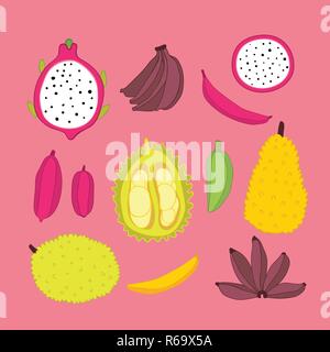 Exotische tropische Früchte essen Sammlung Jackfruit Banana Dragon Fruit Hand farbenfrohes Design Elemente auf rosa Hintergrund Skizze doodle einzigartigen Stil gezeichnet Stock Vektor