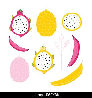Exotischen bunten tropischen Früchten und Blüten Sammlung auf weißem Hintergrund Jackfruit Banana Dragon Fruchtschnitten Hand gezeichnet Design Elemente isoliert Stock Vektor