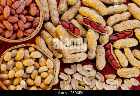 Erdnusskerne, Erdnusskerne, Stachel, pindar, Affennuss, Arachis hypogaea, Indien, Asien Stockfoto